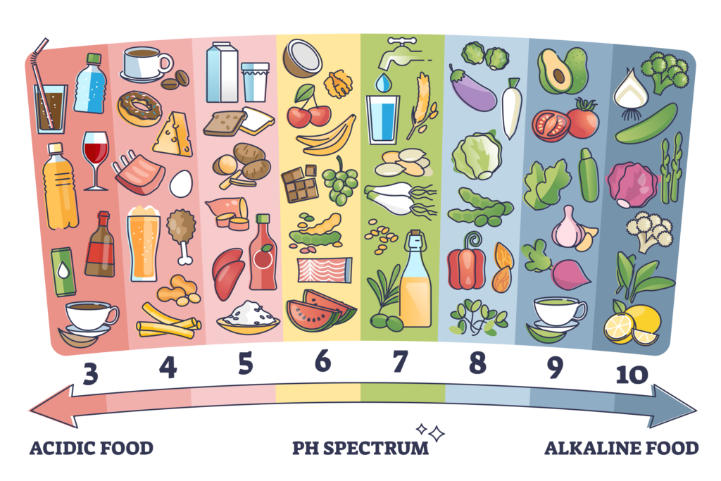 10 alkaline examples for better health and wellness