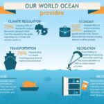 10 ways how humans impact the ocean and its ecosystems