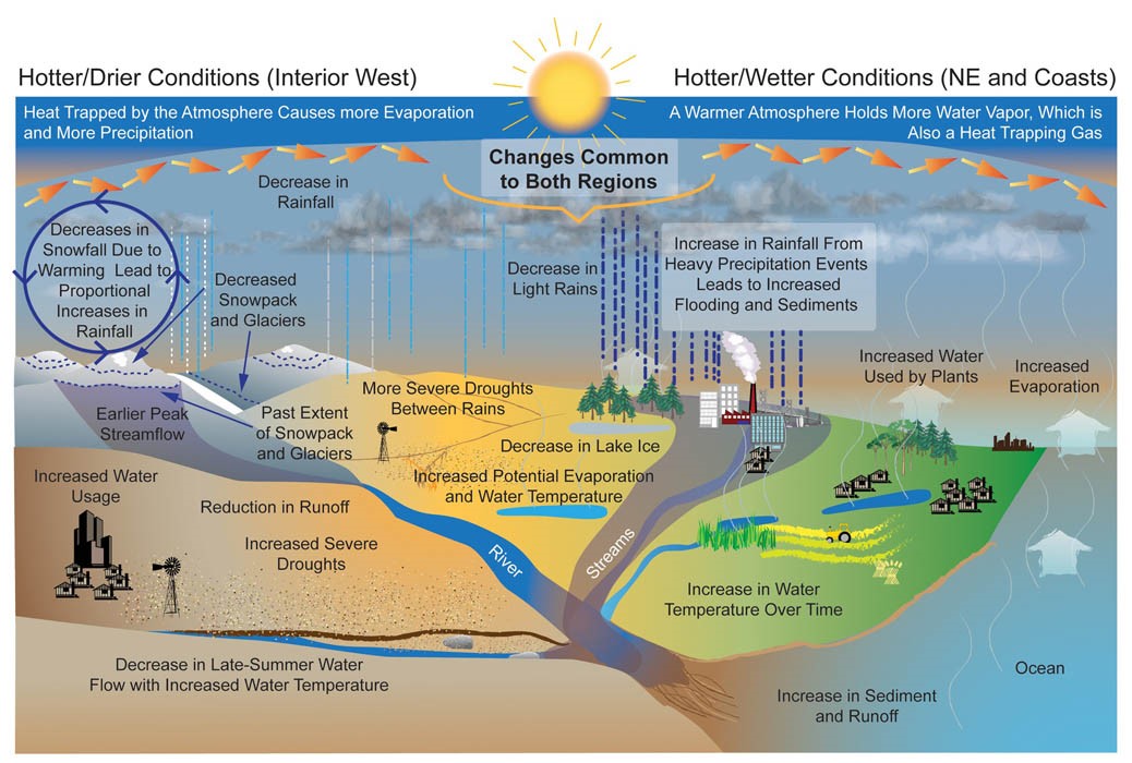 3 examples of surface water that impact our ecosystem