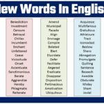 30 colloquial words to enrich your everyday conversations