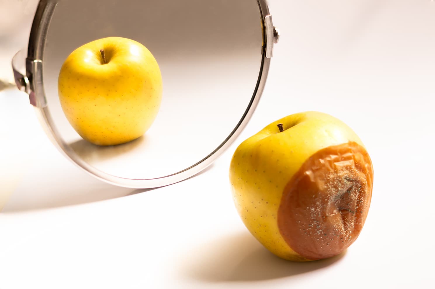 4 sources of biological contamination in daily life