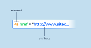 Absolute Language: Key Examples and Insights
