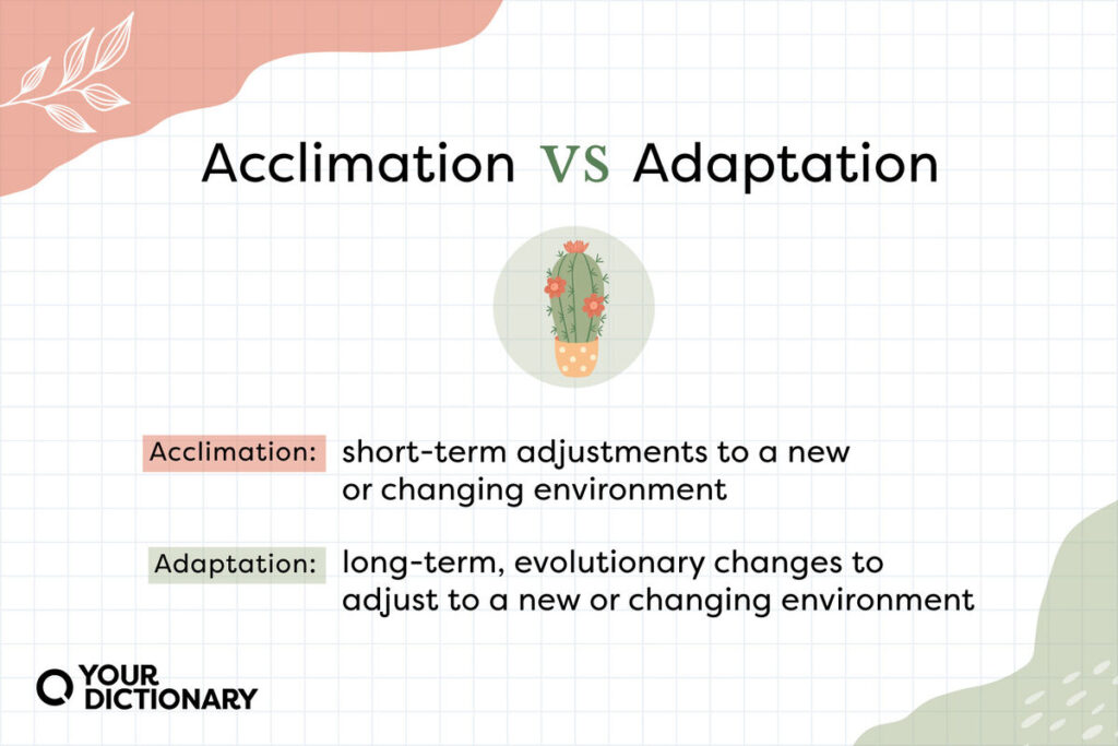 acclimation examples in plants and animals 1