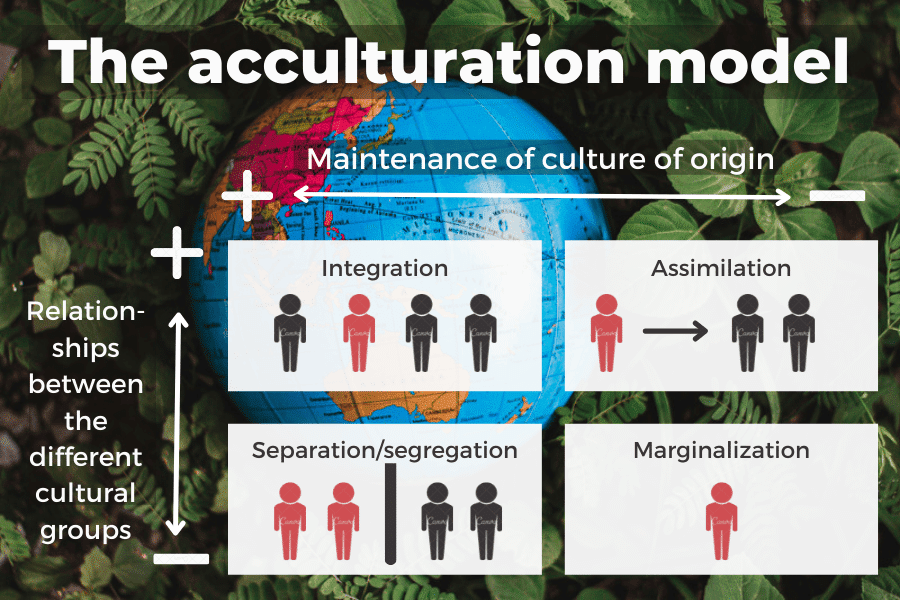 acculturation examples how cultures blend and adapt
