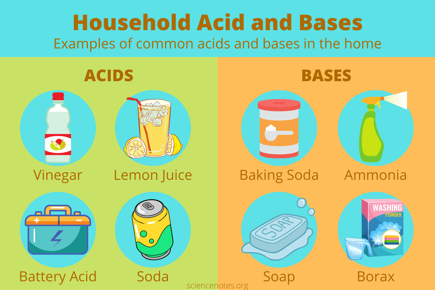 acid examples understanding their role in daily life
