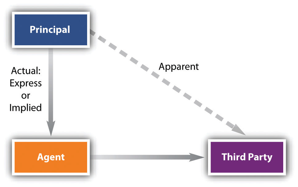 actual authority vs apparent authority with examples