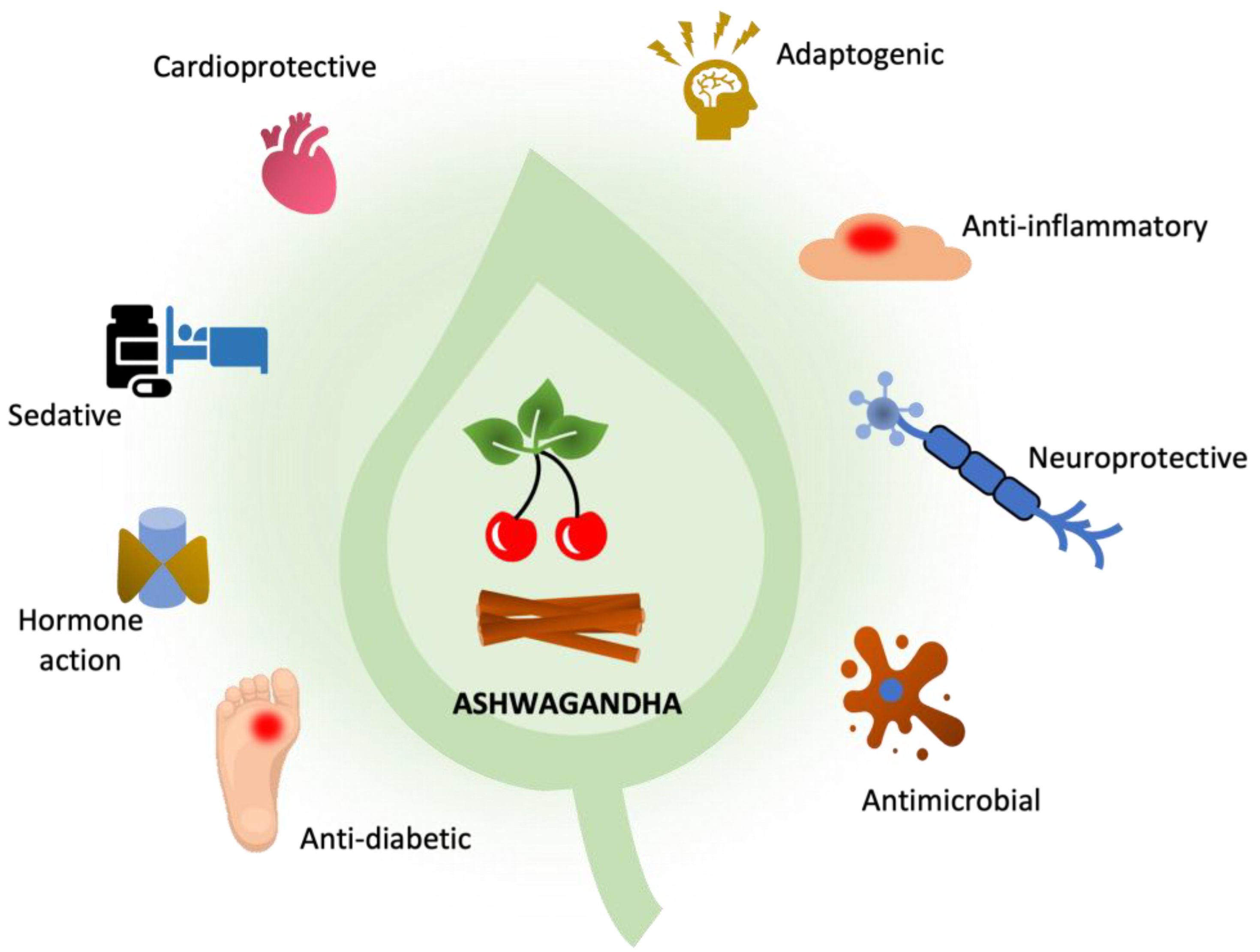 adaptogens for stress relief and wellness benefits