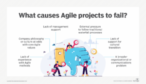 Agile Person Meaning Through Real-Life Examples