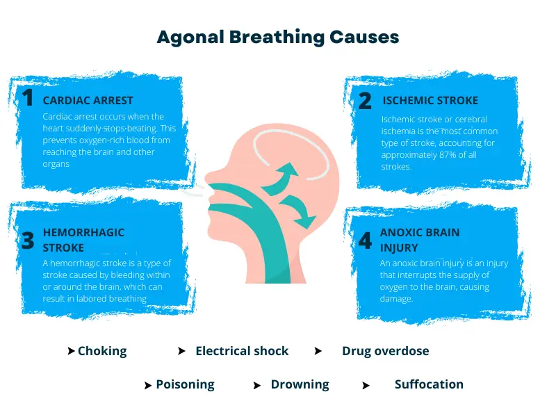 agonal breathing key examples and insights