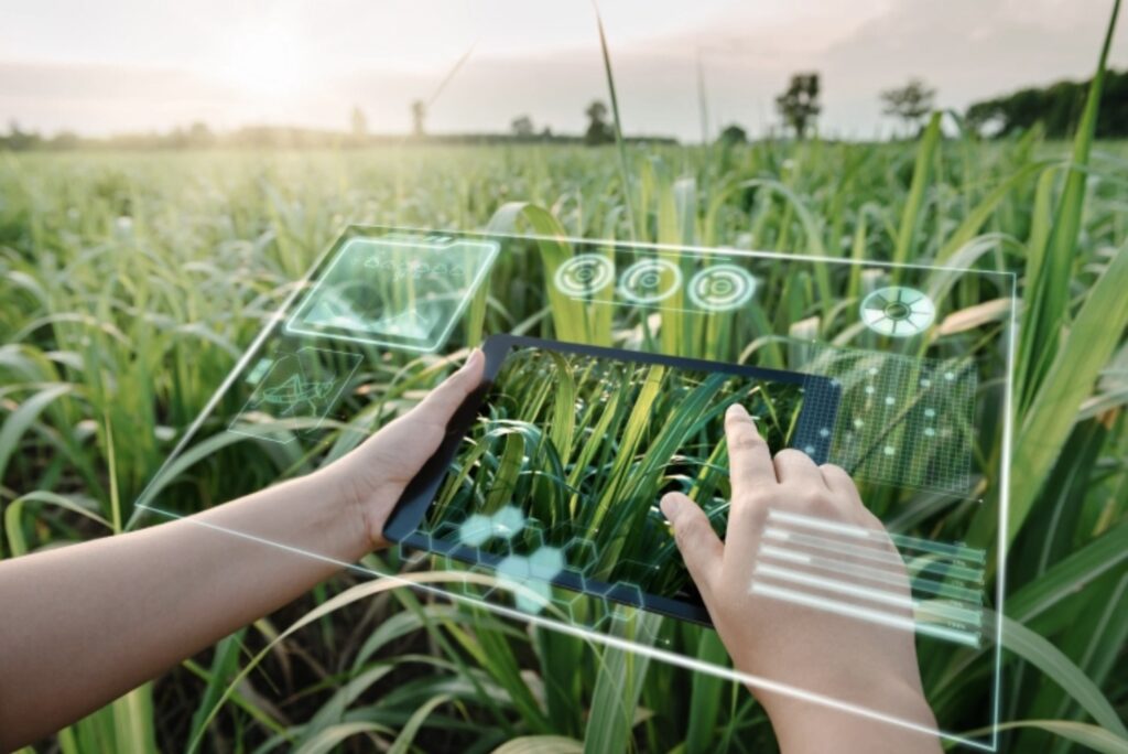 ai in agriculture examples transforming farming