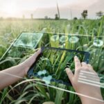 ai in agriculture examples transforming farming