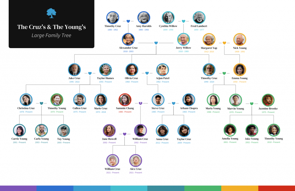 ancestry definition key examples and insights