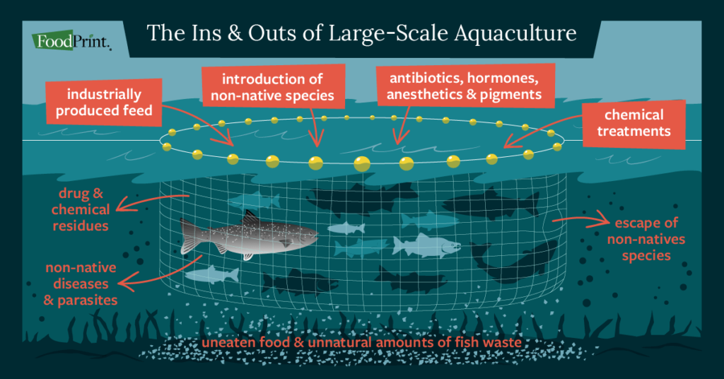 aquaculture definition with real world examples