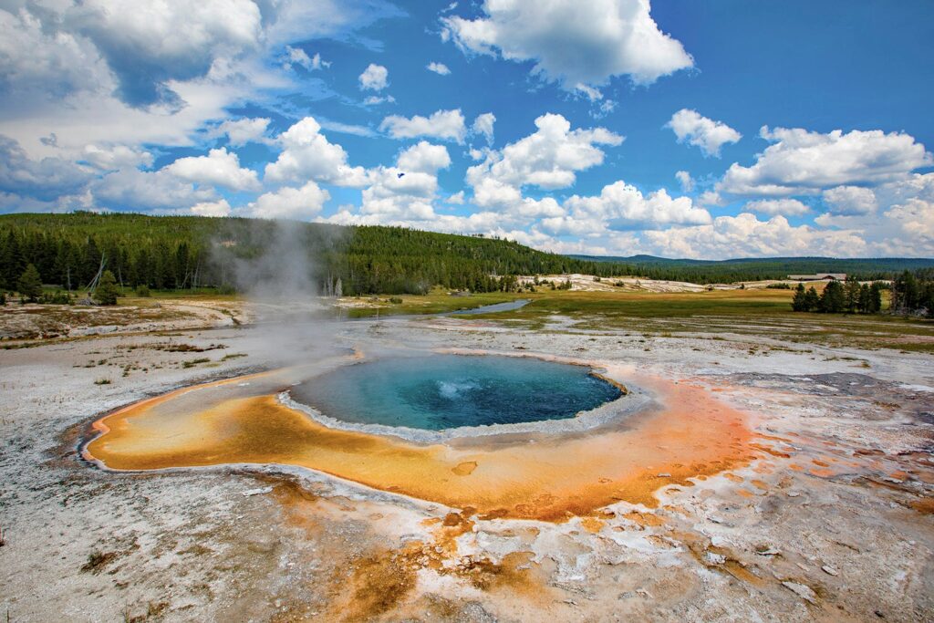 archaea kingdom examples in extreme environments