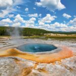 Archaea Kingdom Examples in Extreme Environments archaea kingdom examples in extreme environments
