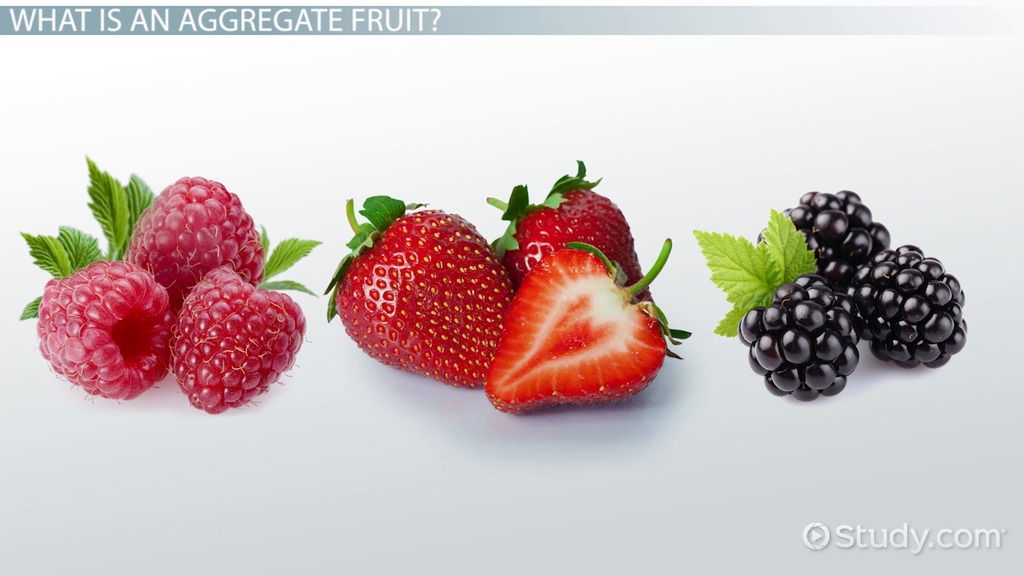 are strawberries aggregate fruits exploring their unique structure