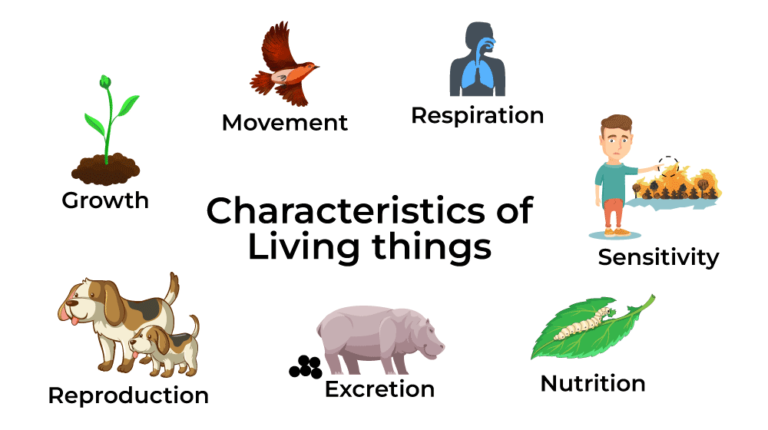 Are Trees Living? Key Characteristics and Examples Explained