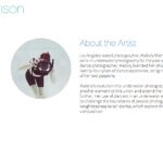 artist bio examples to showcase your talent