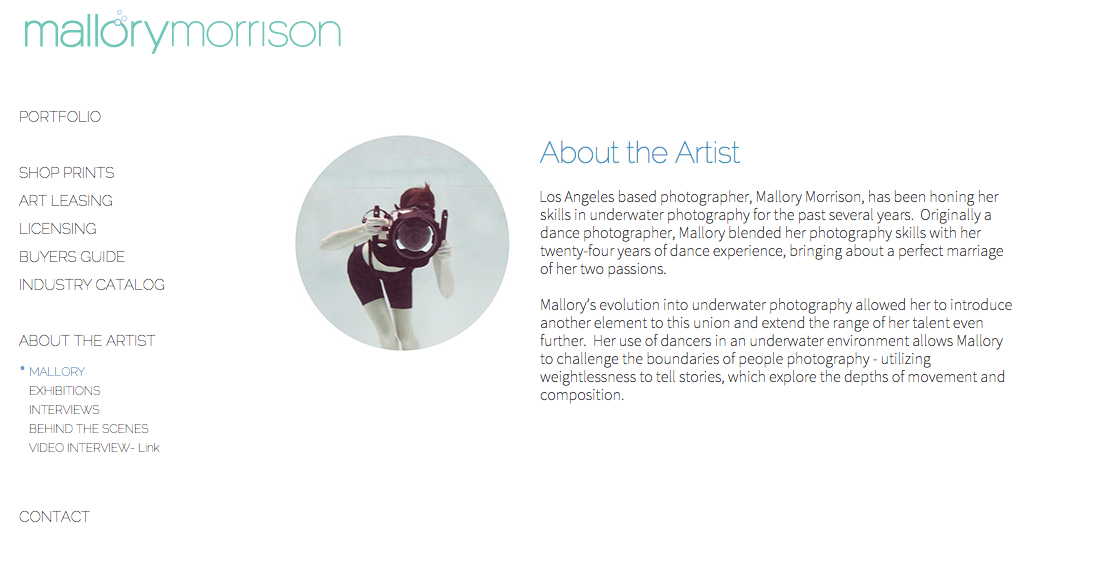 artist bio examples to showcase your talent
