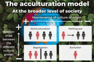 Assimilation vs Acculturation: Key Examples and Differences