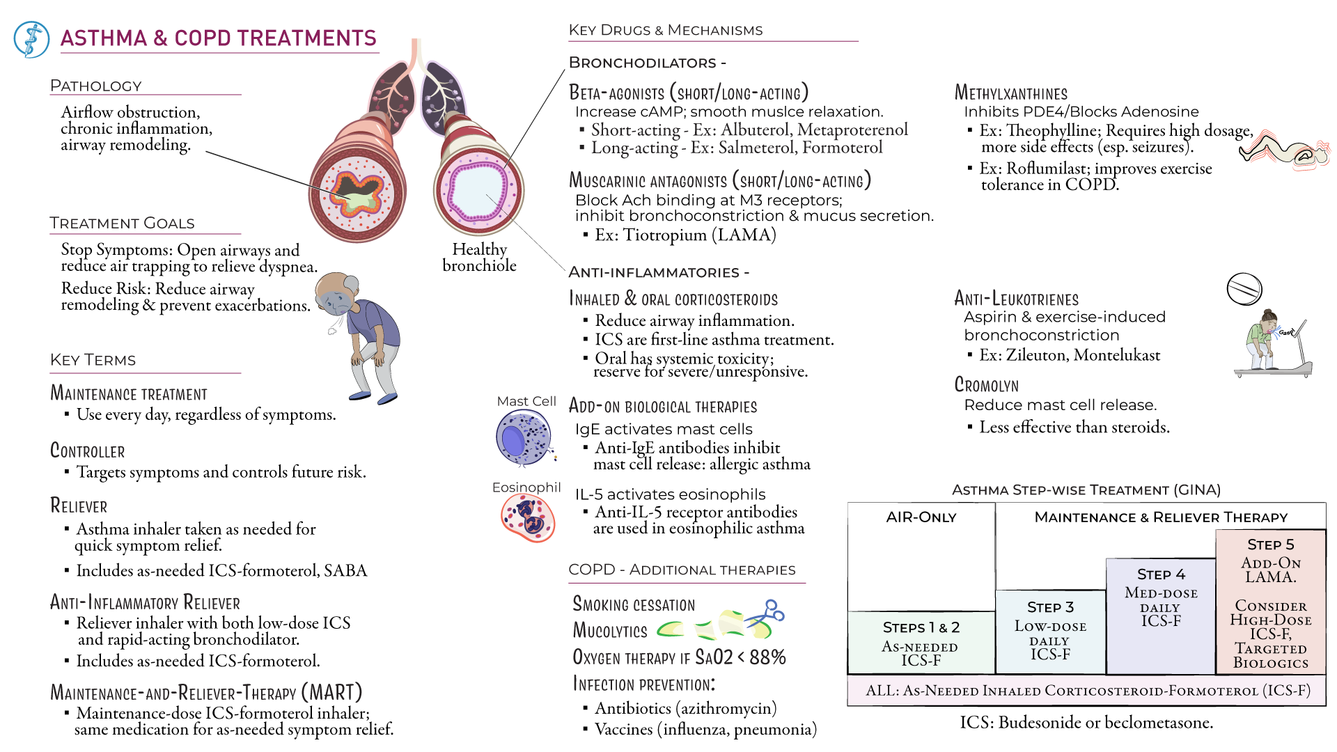 asthma medications examples and insights