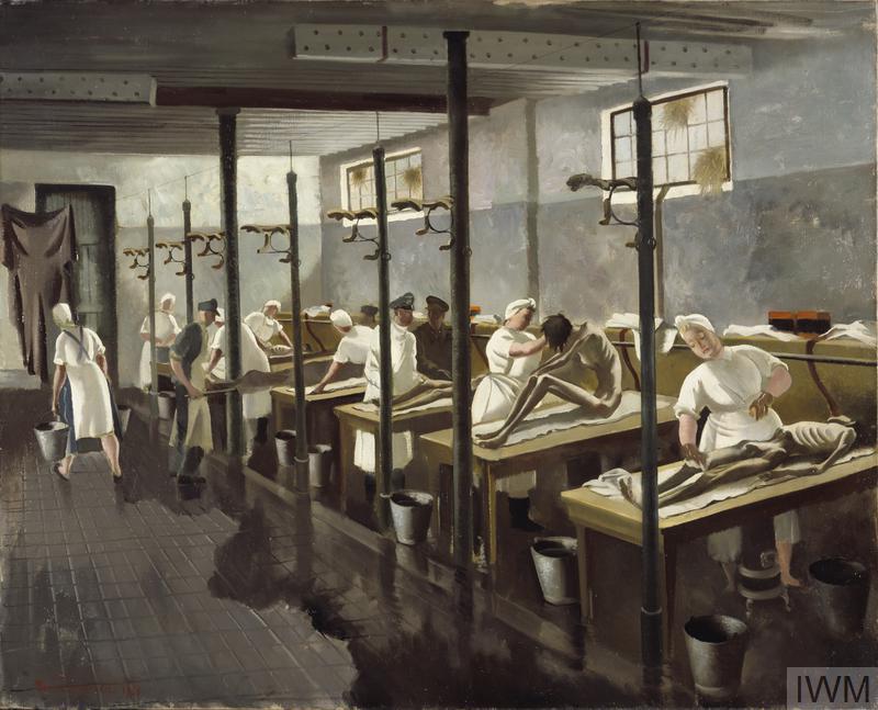 auschwitz inside haunting stories and historical insights