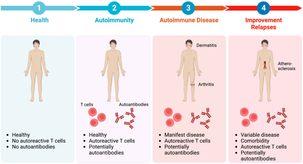 autoimmune diseases key examples and insights scaled