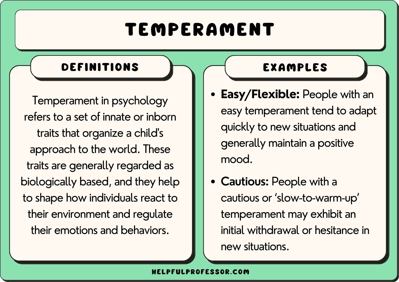 baby temperament key examples and insights