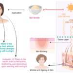 benefits and uses of avobenzone in sunscreens
