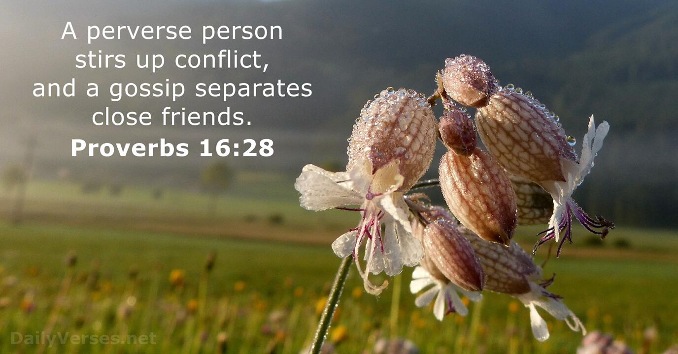 bible verses about slander and their meaning