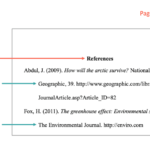 bibliography examples for accurate citations
