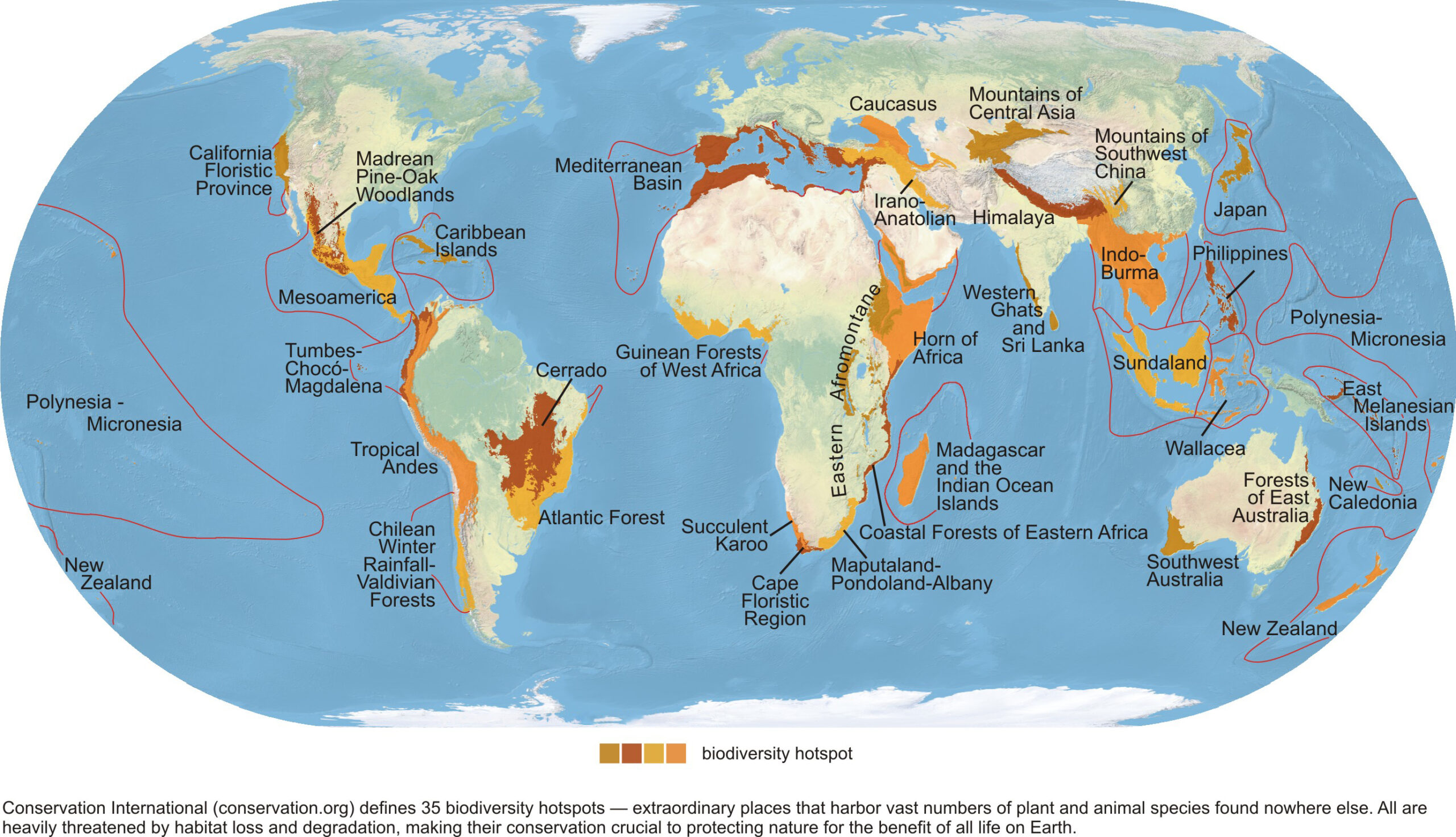 biodiversity hotspots examples you should know about scaled