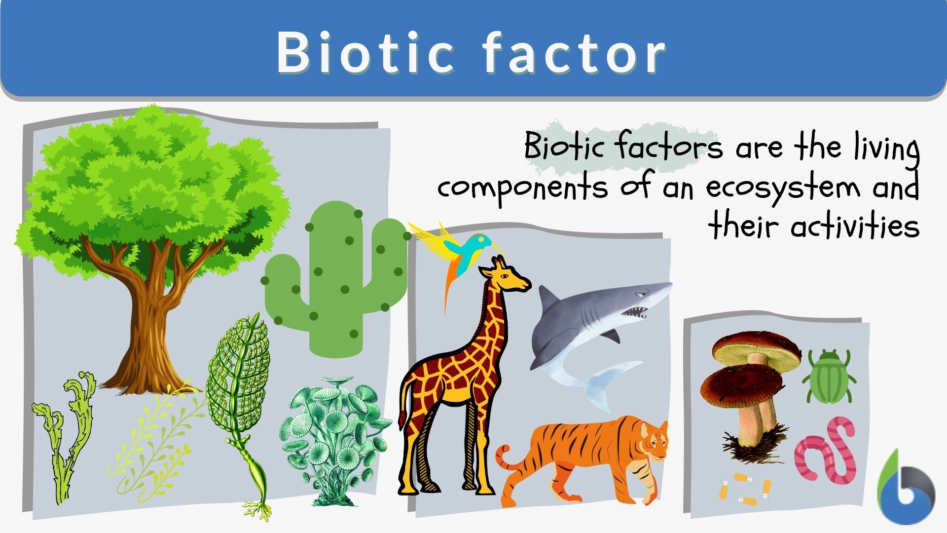 biotic factors definition with key examples