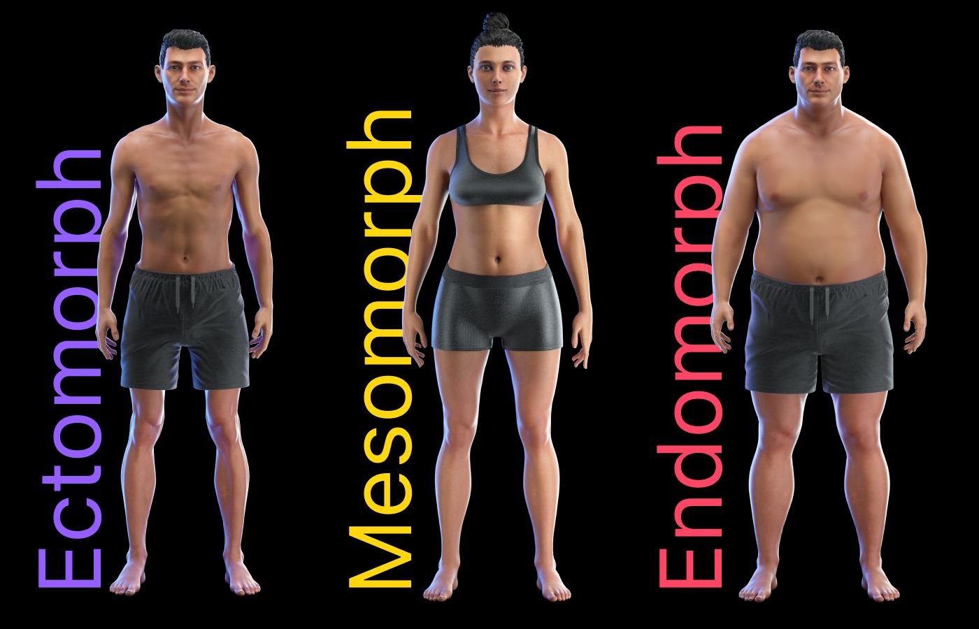 body composition examples for better health