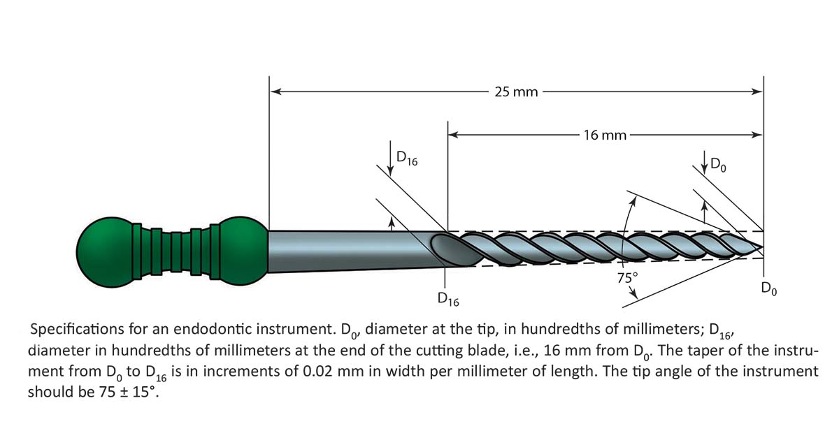 broaches as examples of essential endodontic files explained