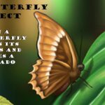butterfly effect examples in life and nature
