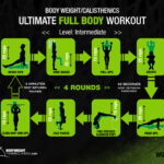 calisthenics exercises for all fitness levels