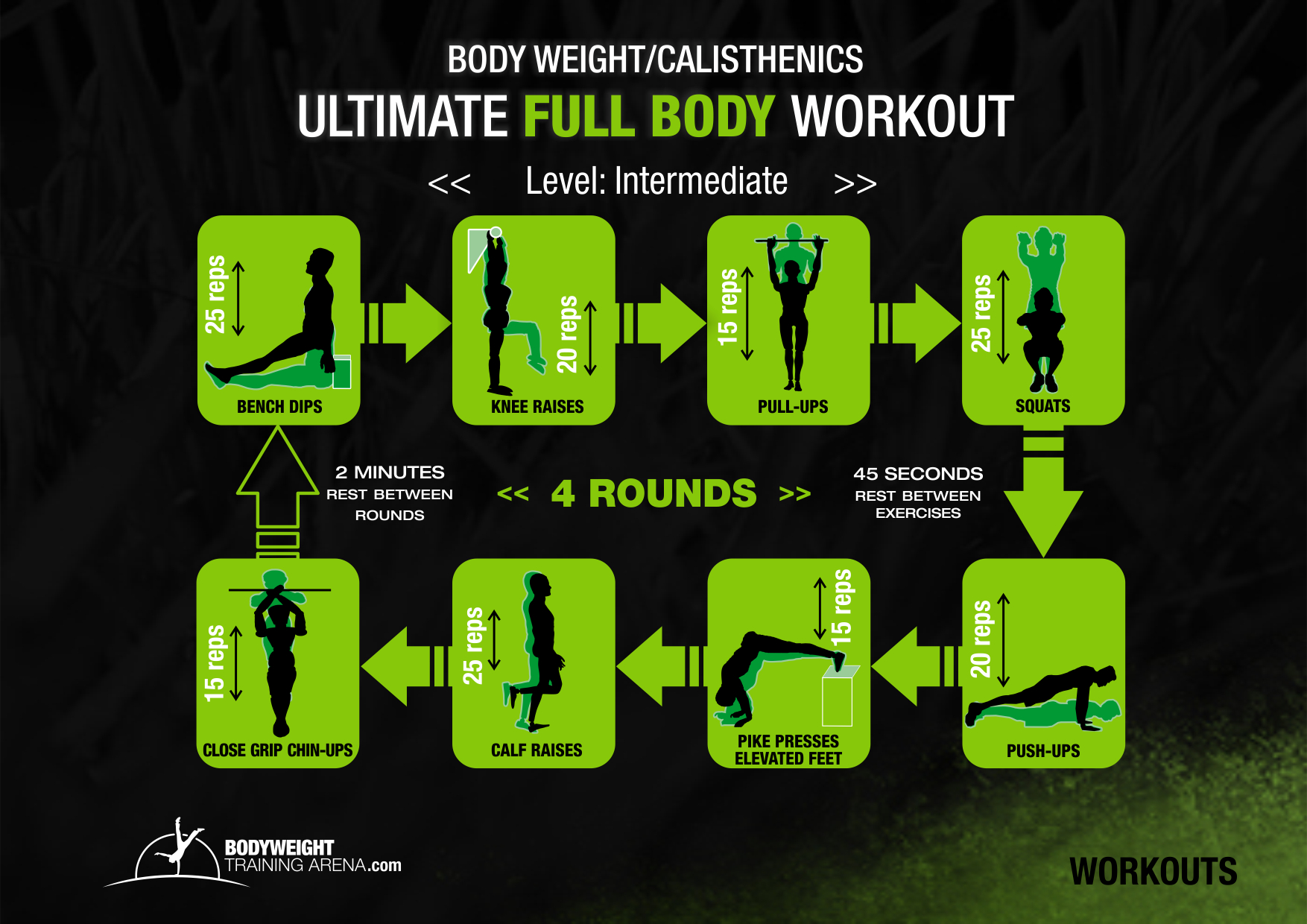 calisthenics exercises for all fitness levels