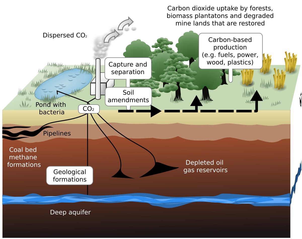 carbon sequestration examples to combat climate change