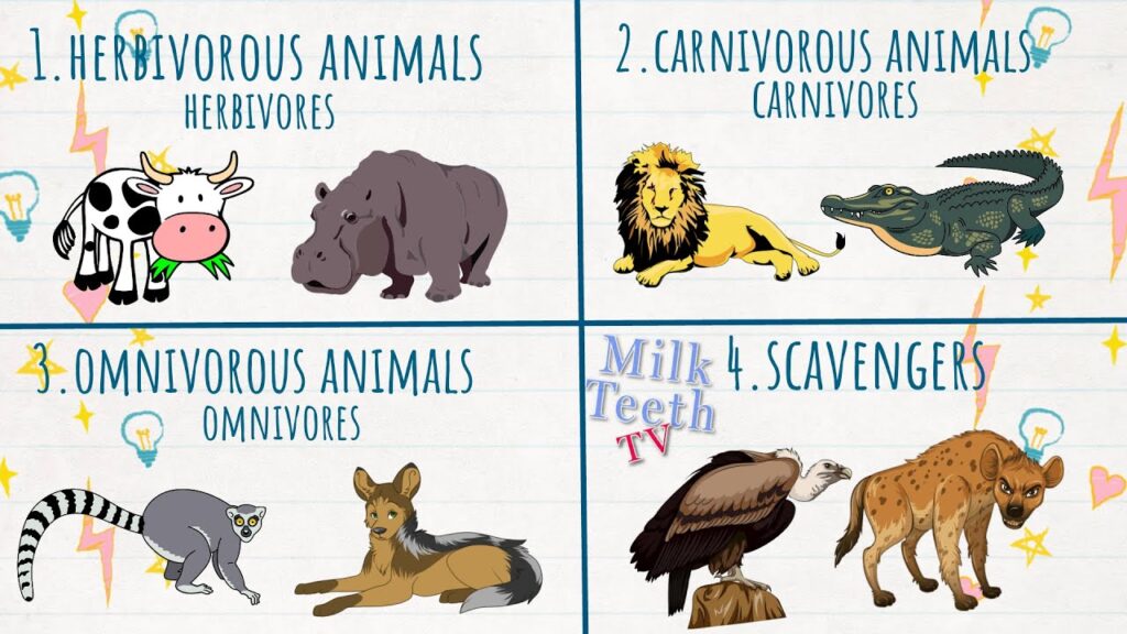 carnivores herbivores omnivores and scavengers explained