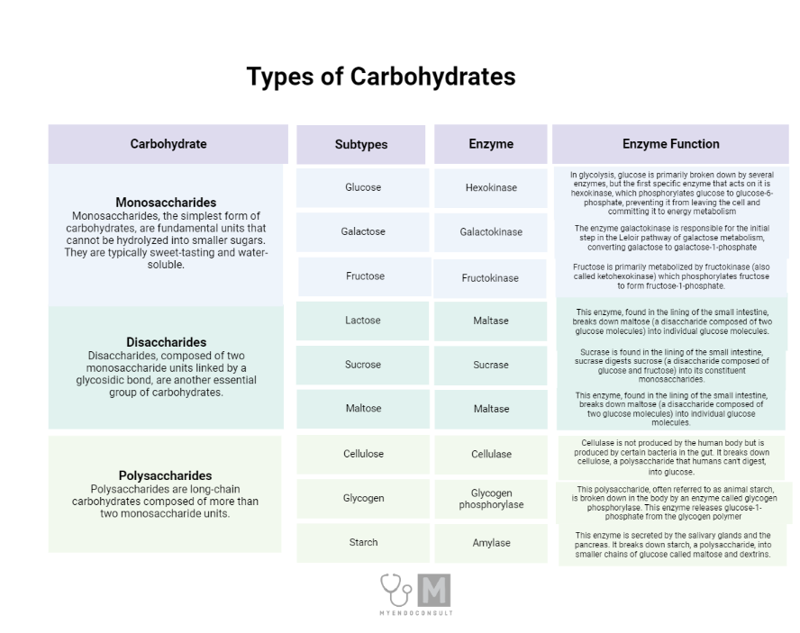 cellulose and starch are examples of essential carbohydrates