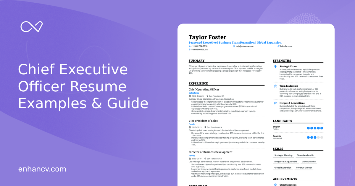 ceo resume examples to inspire your next application