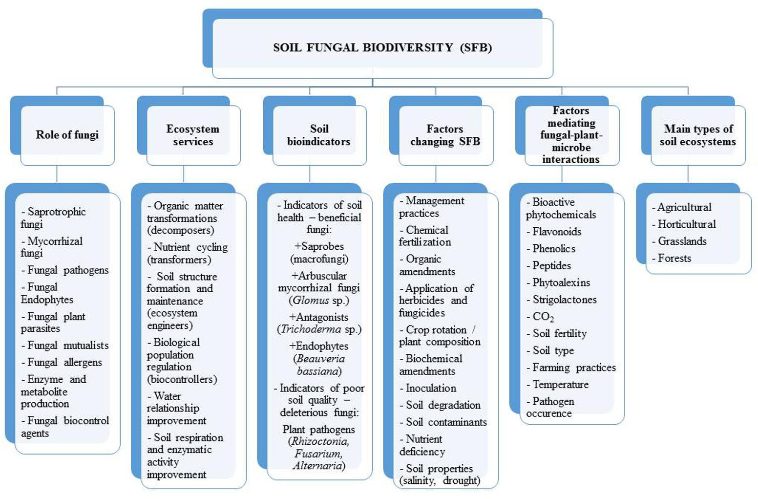 characteristics of fungi and their ecological roles