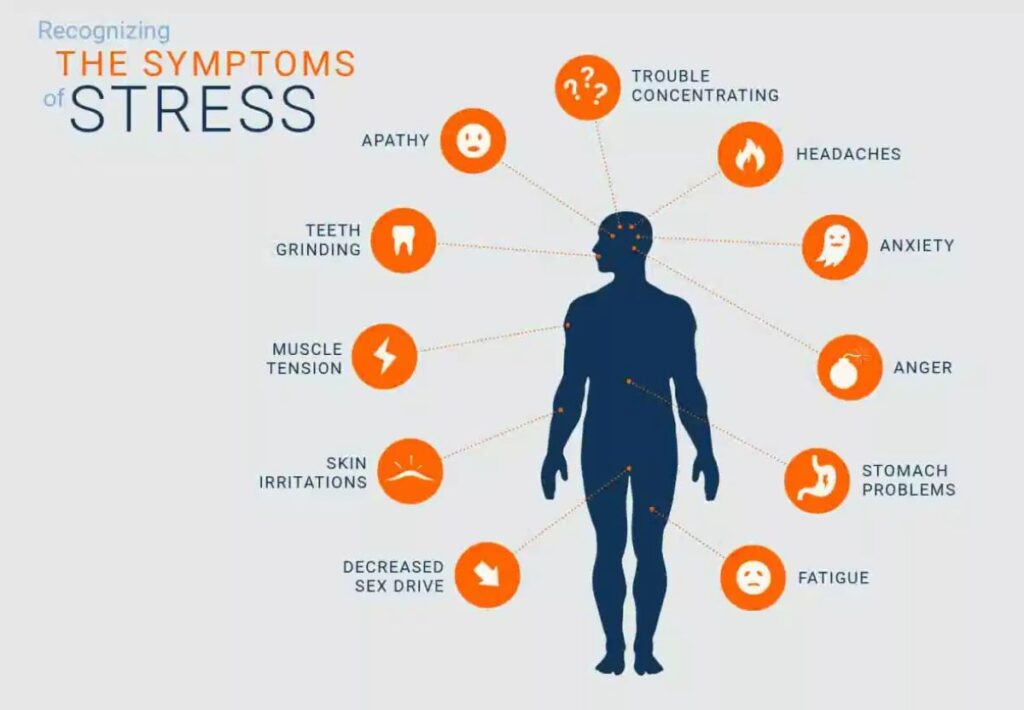 chronic stress causes effects and solutions
