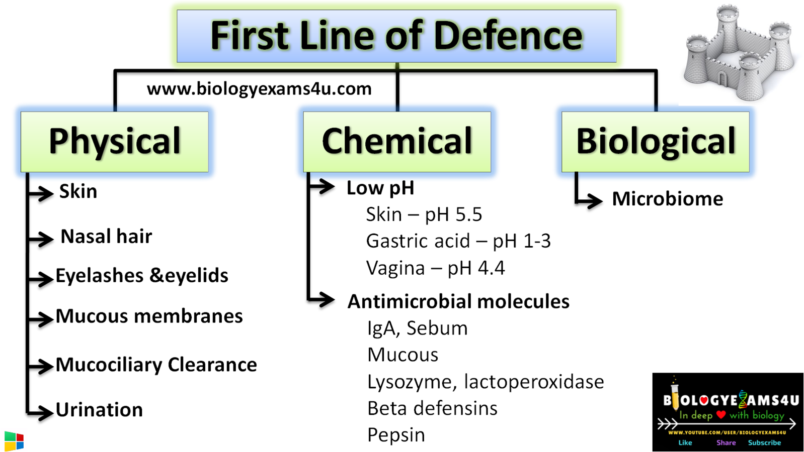 cilia and mucous key examples of first line of defense
