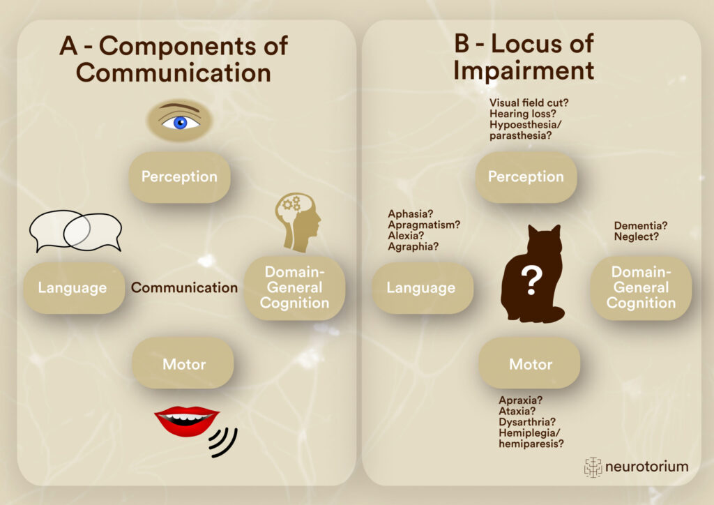 cognitive communication deficit key examples