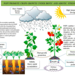 commercially important contributions attributed to fungi include examples