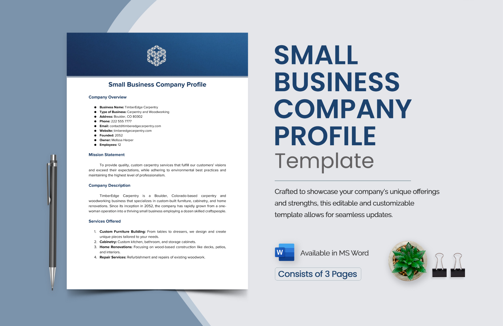 company profile examples to elevate your brand
