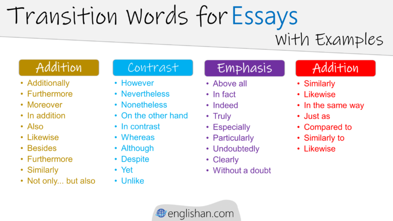 Connective Words for Essays: Examples and Tips