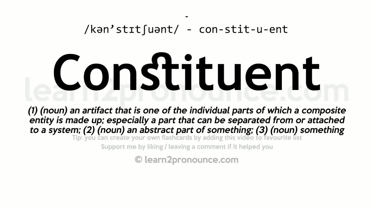 constituent definition in government today
